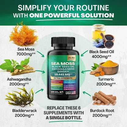 Shilajit Ashwagandha + Sea Moss Capsules